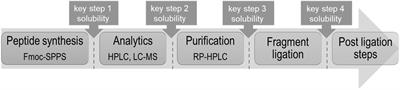 Challenges and Perspectives in Chemical Synthesis of Highly Hydrophobic Peptides